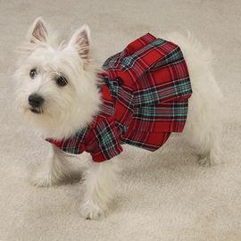 Rochita carouri, Chihuahua, Bichon, Maltese, Terrier, Pincher - Pret | Preturi Rochita carouri, Chihuahua, Bichon, Maltese, Terrier, Pincher