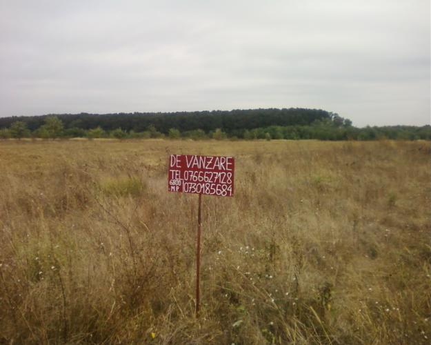 vand {schimb ] teren Autostrada Buc-Pitesti - Pret | Preturi vand {schimb ] teren Autostrada Buc-Pitesti