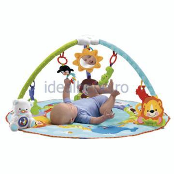 Fisher-Price - Precious Planet Deluxe Musical Activity Gym - Pret | Preturi Fisher-Price - Precious Planet Deluxe Musical Activity Gym