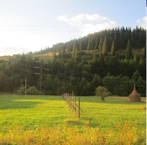 Teren in Vatra Dornei - Pret | Preturi Teren in Vatra Dornei