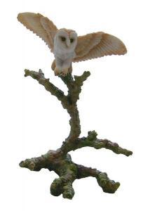 Barn Owl - Pret | Preturi Barn Owl