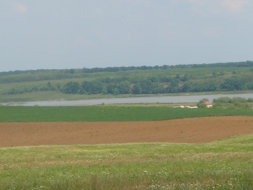 Propietar vand Teren Agricol - Pret | Preturi Propietar vand Teren Agricol