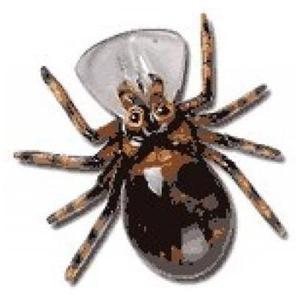 Vobler Paianjen Spider Crank SC04 35 mm, 6,0 gr Maro Negru River2Sea - Pret | Preturi Vobler Paianjen Spider Crank SC04 35 mm, 6,0 gr Maro Negru River2Sea