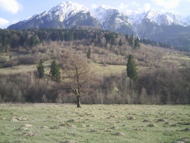 vand teren la Plaiul Foii - Pret | Preturi vand teren la Plaiul Foii