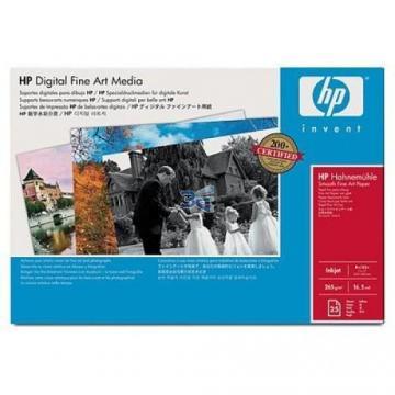 HP Q8728A, Hartie foto neteda A3, Fine Art, 330 x 483mm - Pret | Preturi HP Q8728A, Hartie foto neteda A3, Fine Art, 330 x 483mm