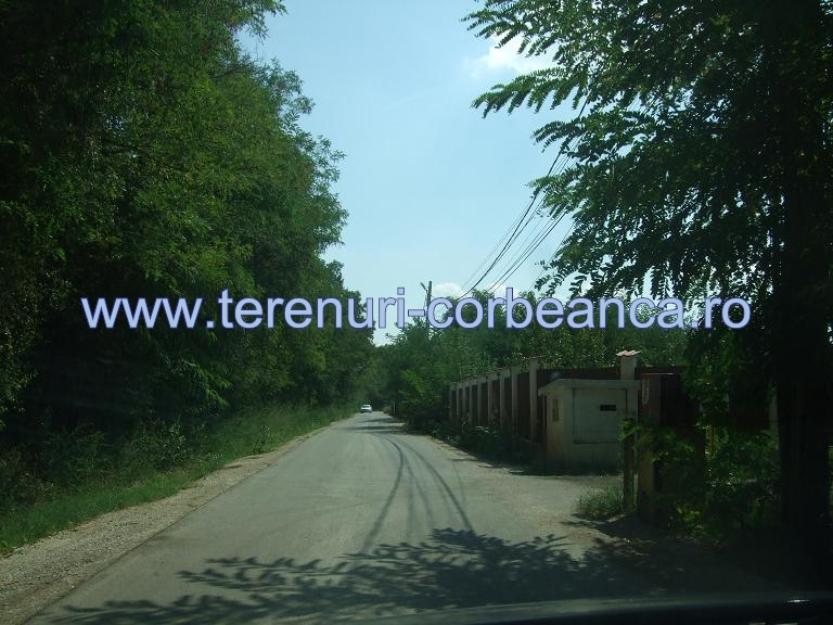 Teren padurea Corbeanca - Pret | Preturi Teren padurea Corbeanca