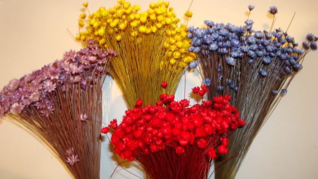 De vanzare flori uscate si accesorii decoratiuni - Pret | Preturi De vanzare flori uscate si accesorii decoratiuni