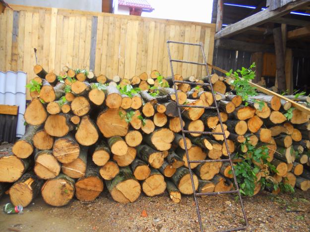 Se vinde la comanda lemn de foc fag, carpen, stejar crapat, carpan - Pret | Preturi Se vinde la comanda lemn de foc fag, carpen, stejar crapat, carpan