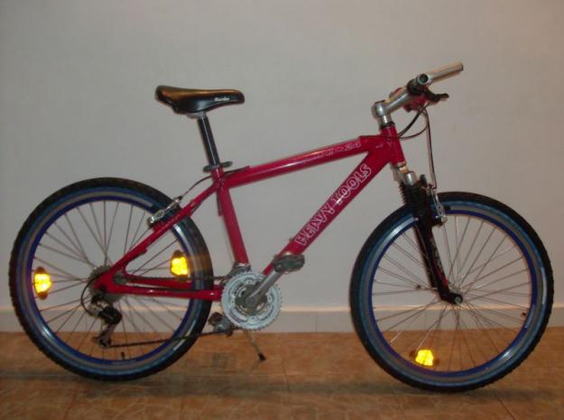 Mountain Bike cadru al 24