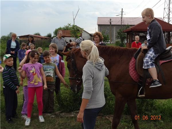 vand urgent cai de sport - Pret | Preturi vand urgent cai de sport