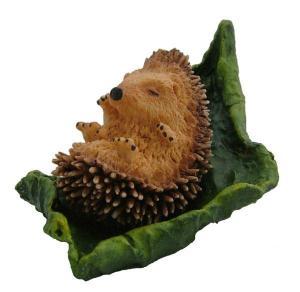 Sleepy Hedgehog on Leaf - Pret | Preturi Sleepy Hedgehog on Leaf