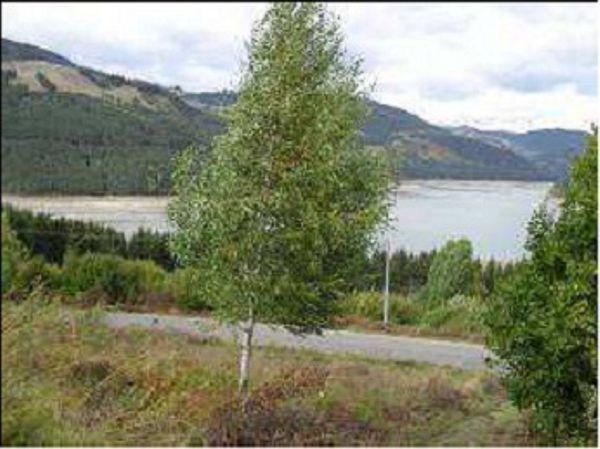 Vand urgent teren intravilan 5000 mp - Pret | Preturi Vand urgent teren intravilan 5000 mp