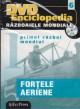 Razboaiele mondiale nr 6 Primul razboi mondial Fortele Aeriene + DVD - Pret | Preturi Razboaiele mondiale nr 6 Primul razboi mondial Fortele Aeriene + DVD