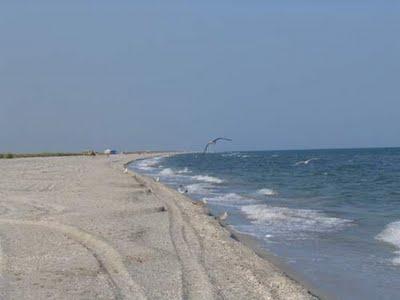 teren in corbu - vadu primele loturi la marea neagra - Pret | Preturi teren in corbu - vadu primele loturi la marea neagra