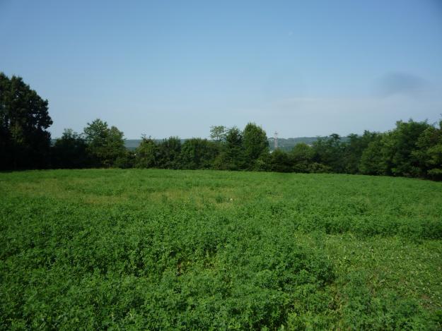 Vand teren 5000 mp Soseaua Targoviste-Campulung - Pret | Preturi Vand teren 5000 mp Soseaua Targoviste-Campulung