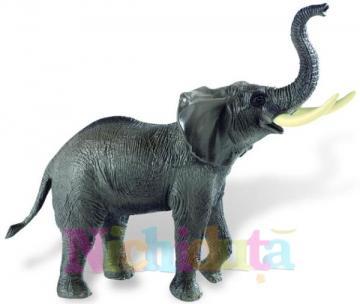 Elefant african Deluxe - Pret | Preturi Elefant african Deluxe