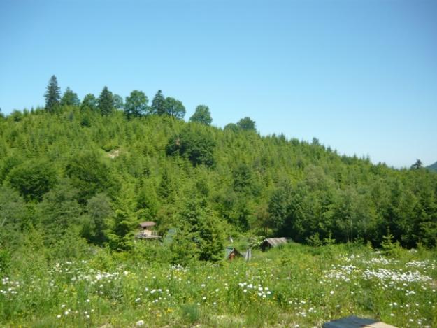 vand teren rasnov glajerie zona linistita - Pret | Preturi vand teren rasnov glajerie zona linistita