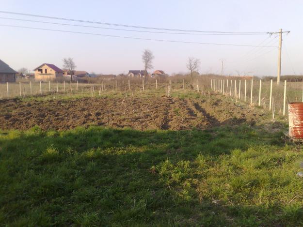 VAND CASA IN ROSU - Pret | Preturi VAND CASA IN ROSU