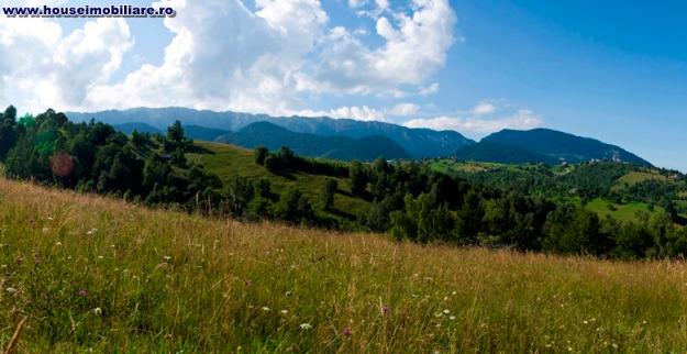 moeciu pestera,teren de vanzare - Pret | Preturi moeciu pestera,teren de vanzare