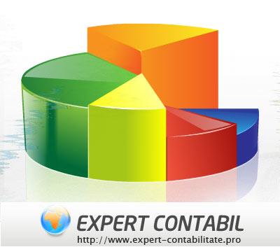 Expert Contabilitate - expert-contabilitate punct pro - Pret | Preturi Expert Contabilitate - expert-contabilitate punct pro