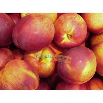 Nectarine kilogram - Pret | Preturi Nectarine kilogram