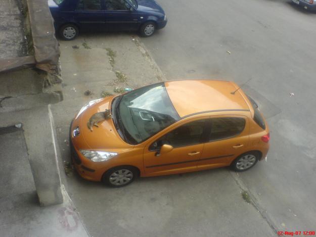 Vanzare Peugeot 207 - Pret | Preturi Vanzare Peugeot 207