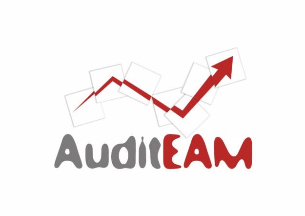 Audit situatii financiare! - Pret | Preturi Audit situatii financiare!