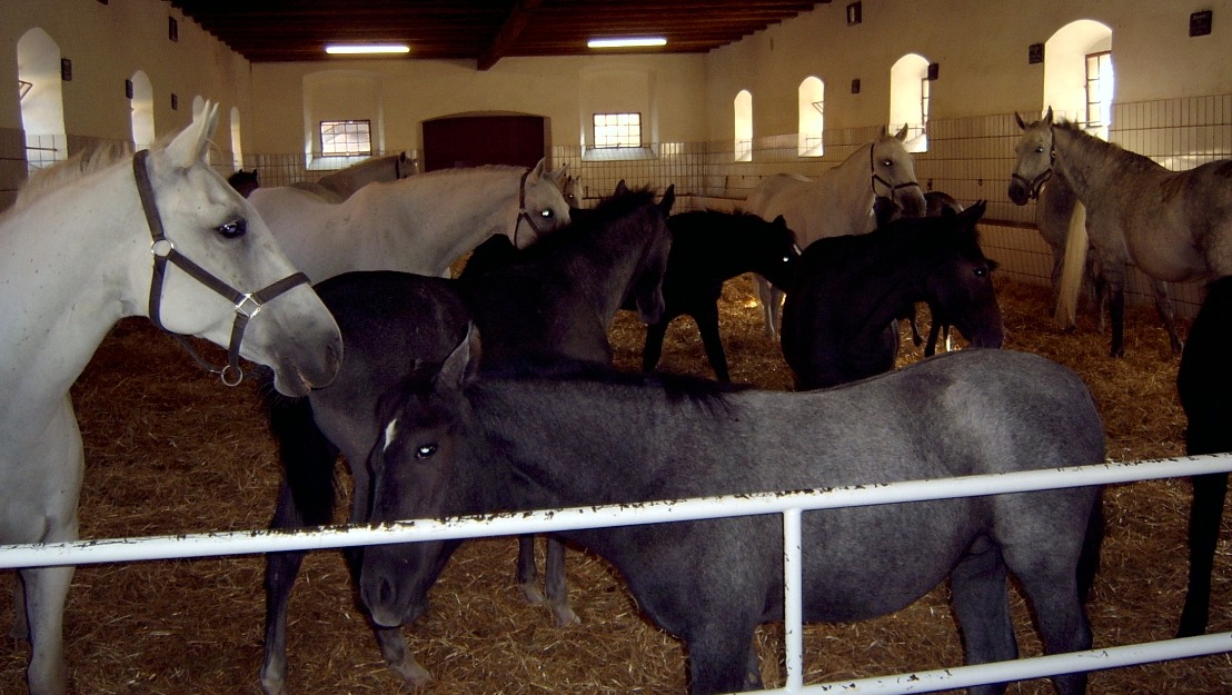 oferim de munca in ferme - Pret | Preturi oferim de munca in ferme