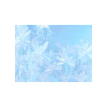 G2101 - Pret | Preturi G2101