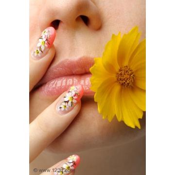 Cursuri nail art - Pret | Preturi Cursuri nail art