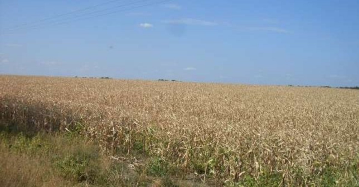 Mehedinti-izvoralu, teren agricol - Pret | Preturi Mehedinti-izvoralu, teren agricol