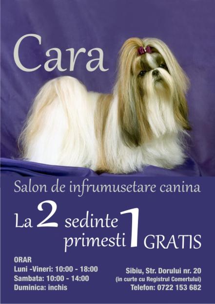 CARA - SALON INFRUMUSETARE CANINA - Pret | Preturi CARA - SALON INFRUMUSETARE CANINA