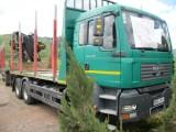 Camion MAN specializat transport busteni - Pret | Preturi Camion MAN specializat transport busteni