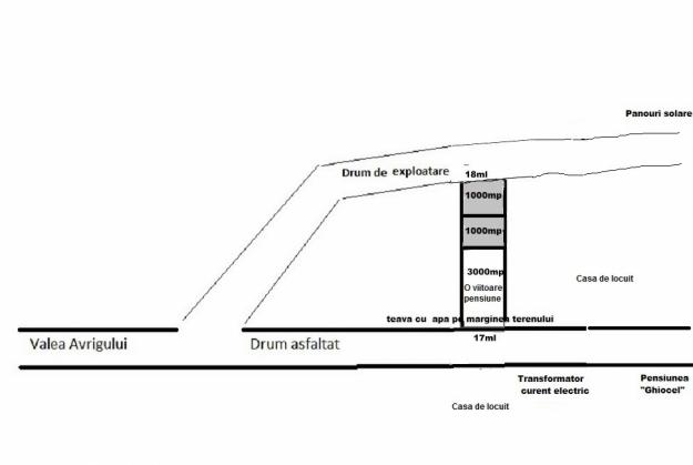 Teren de vanzare Valea Avrigului - Pret | Preturi Teren de vanzare Valea Avrigului