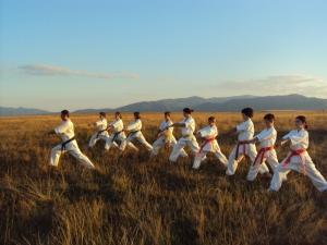 Cursuri karate kyokushin Sibiu - Pret | Preturi Cursuri karate kyokushin Sibiu