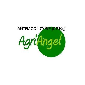 Fungicid Antracol 70 Wp (0.5 kg) - Pret | Preturi Fungicid Antracol 70 Wp (0.5 kg)