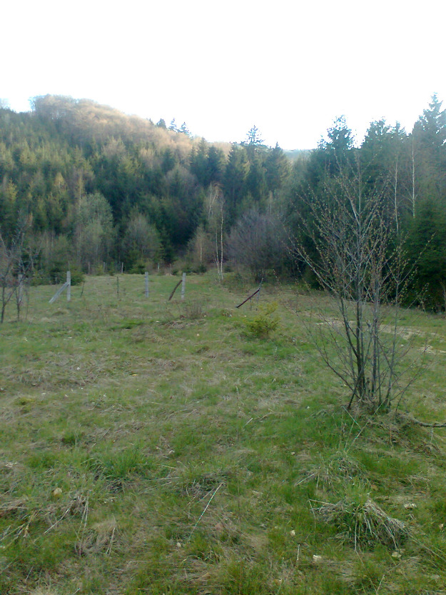 Teren supern la poalele Muntilor FAGARAS - Pret | Preturi Teren supern la poalele Muntilor FAGARAS