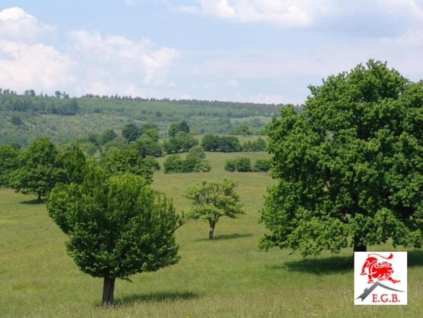 Vand pasune ecologica 62 ha in Jud Covasna - Pret | Preturi Vand pasune ecologica 62 ha in Jud Covasna