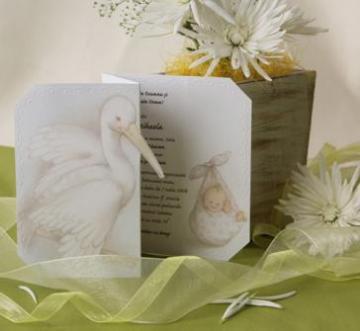 Invitatie botez cu barza - Pret | Preturi Invitatie botez cu barza