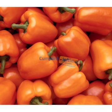 Ardei California portocalii kilogram - Pret | Preturi Ardei California portocalii kilogram