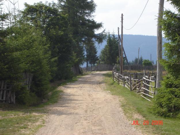 Vand teren pentru cabana in Balcesti - langa lacul Belis - Pret | Preturi Vand teren pentru cabana in Balcesti - langa lacul Belis