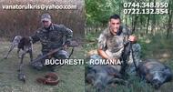 HUNTING IN ROMANIA - Pret | Preturi HUNTING IN ROMANIA