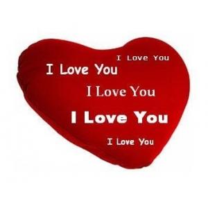 Pernuta in forma de inima i love you cadou romantic valentines day - Pret | Preturi Pernuta in forma de inima i love you cadou romantic valentines day
