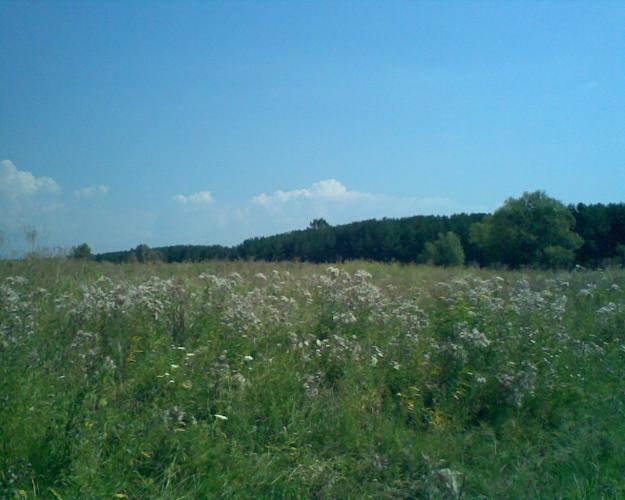 vand teren pe malul lacului in curtea de arges - Pret | Preturi vand teren pe malul lacului in curtea de arges