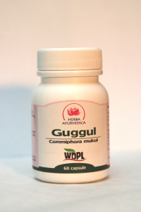 Guggul 500mg *60cps - Pret | Preturi Guggul 500mg *60cps