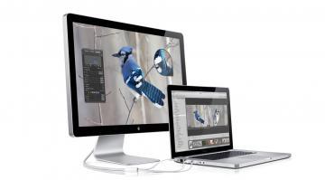 Monitor LED Apple Cinema 24 inch Display - Pret | Preturi Monitor LED Apple Cinema 24 inch Display