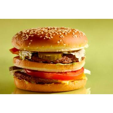 Premixuri hamburger - Premix Real Hamburger - Pret | Preturi Premixuri hamburger - Premix Real Hamburger