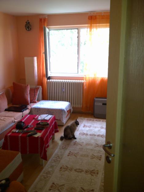 TOMIS NORD-2 camere, decomandate 38.500 euro - Pret | Preturi TOMIS NORD-2 camere, decomandate 38.500 euro