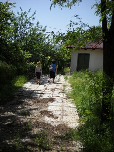 vand casa Adamclisi sau schimb cu garsoniera in Constanta - Pret | Preturi vand casa Adamclisi sau schimb cu garsoniera in Constanta