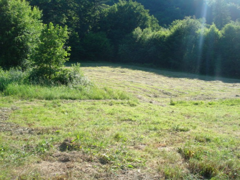 Teren si casa vacanta la rosu brasov - Pret | Preturi Teren si casa vacanta la rosu brasov